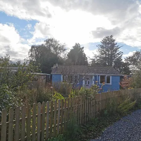 Charming Cabin Near Snowdonia National Park Карнарвон Экстерьер фото